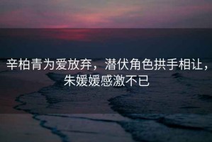 辛柏青為愛放棄，潛伏角色拱手相讓，朱媛媛感激不已