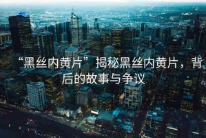 “黑絲內(nèi)黃片”揭秘黑絲內(nèi)黃片，背后的故事與爭議