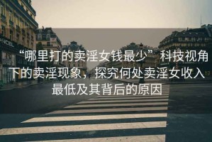 “哪里打的賣淫女錢最少”科技視角下的賣淫現(xiàn)象，探究何處賣淫女收入最低及其背后的原因