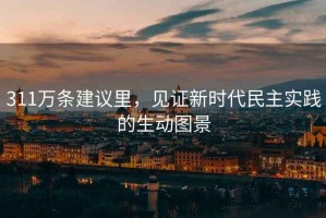 311萬條建議里，見證新時代民主實踐的生動圖景