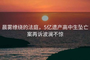 晨霧繚繞的法庭，5億遺產(chǎn)高中生墜亡案再訴波瀾不驚