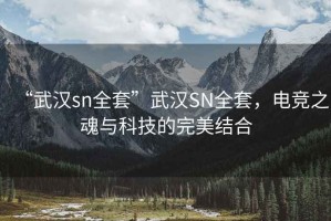 “武漢sn全套”武漢SN全套，電競之魂與科技的完美結合