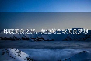 印度美食之旅，莫迪的全球美食夢想
