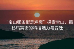 “寶山哪條街是雞窩”探索寶山，揭秘雞窩街的科技魅力與變遷