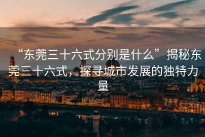 “東莞三十六式分別是什么”揭秘東莞三十六式，探尋城市發(fā)展的獨(dú)特力量
