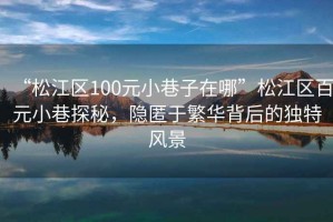 “松江區(qū)100元小巷子在哪”松江區(qū)百元小巷探秘，隱匿于繁華背后的獨(dú)特風(fēng)景