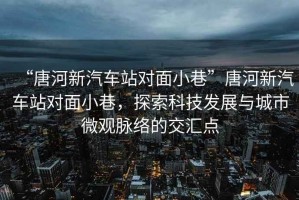 “唐河新汽車(chē)站對(duì)面小巷”唐河新汽車(chē)站對(duì)面小巷，探索科技發(fā)展與城市微觀脈絡(luò)的交匯點(diǎn)