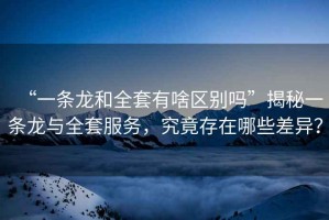 “一條龍和全套有啥區(qū)別嗎”揭秘一條龍與全套服務(wù)，究竟存在哪些差異？