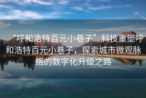 “呼和浩特百元小巷子”科技重塑呼和浩特百元小巷子，探索城市微觀脈絡的數(shù)字化升級之路