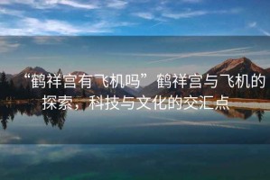 “鶴祥宮有飛機嗎”鶴祥宮與飛機的探索，科技與文化的交匯點