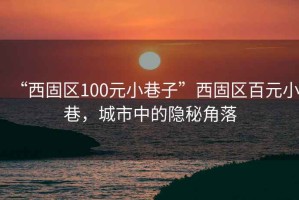 “西固區(qū)100元小巷子”西固區(qū)百元小巷，城市中的隱秘角落