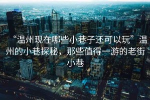 “溫州現(xiàn)在哪些小巷子還可以玩”溫州的小巷探秘，那些值得一游的老街小巷