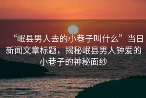 “岷縣男人去的小巷子叫什么”當(dāng)日新聞文章標(biāo)題，揭秘岷縣男人鐘愛的小巷子的神秘面紗