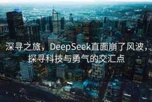 深尋之旅，DeepSeek直面崩了風(fēng)波，探尋科技與勇氣的交匯點(diǎn)