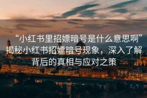 “小紅書里招嫖暗號是什么意思啊”揭秘小紅書招嫖暗號現(xiàn)象，深入了解背后的真相與應對之策