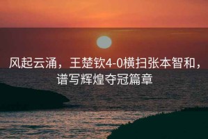 風(fēng)起云涌，王楚欽4-0橫掃張本智和，譜寫輝煌奪冠篇章