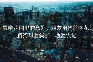 晨曦花園里的意外，朋友用狗盆澆花，狗狗卻上演了一場復仇記