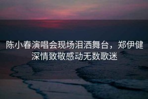 陳小春演唱會現(xiàn)場淚灑舞臺，鄭伊健深情致敬感動無數(shù)歌迷
