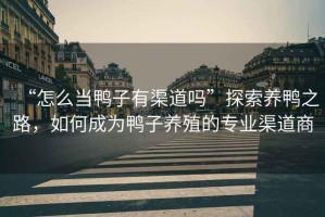 “怎么當(dāng)鴨子有渠道嗎”探索養(yǎng)鴨之路，如何成為鴨子養(yǎng)殖的專業(yè)渠道商