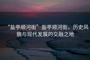 “鹽亭順河街”鹽亭順河街，歷史風貌與現(xiàn)代發(fā)展的交融之地