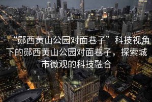 “鄖西黃山公園對面巷子”科技視角下的鄖西黃山公園對面巷子，探索城市微觀的科技融合