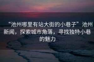 “池州哪里有站大街的小巷子”池州新聞，探索城市角落，尋找獨(dú)特小巷的魅力