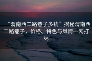 “渭南西二路巷子多錢”揭秘渭南西二路巷子，價格、特色與風(fēng)情一網(wǎng)打盡