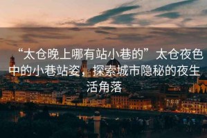 “太倉晚上哪有站小巷的”太倉夜色中的小巷站姿，探索城市隱秘的夜生活角落