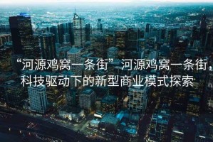 “河源雞窩一條街”河源雞窩一條街，科技驅(qū)動(dòng)下的新型商業(yè)模式探索