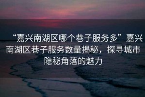 “嘉興南湖區(qū)哪個巷子服務(wù)多”嘉興南湖區(qū)巷子服務(wù)數(shù)量揭秘，探尋城市隱秘角落的魅力