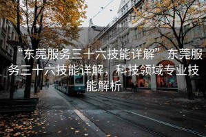 “東莞服務(wù)三十六技能詳解”東莞服務(wù)三十六技能詳解，科技領(lǐng)域?qū)I(yè)技能解析