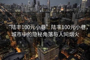 “陸豐100元小巷”陸豐100元小巷，城市中的隱秘角落與人間煙火