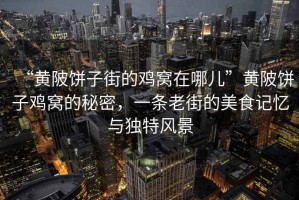 “黃陂餅子街的雞窩在哪兒”黃陂餅子雞窩的秘密，一條老街的美食記憶與獨(dú)特風(fēng)景