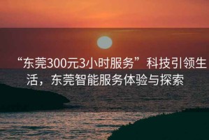 “東莞300元3小時(shí)服務(wù)”科技引領(lǐng)生活，東莞智能服務(wù)體驗(yàn)與探索