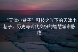 “天津小巷子”科技之光下的天津小巷子，歷史與現(xiàn)代交織的智慧城市脈絡(luò)