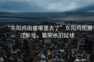 “東陽(yáng)雞街搬哪里去了”東陽(yáng)雞街搬遷新址，繁榮依舊延續(xù)