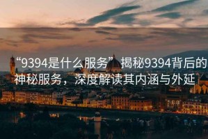 “9394是什么服務(wù)”揭秘9394背后的神秘服務(wù)，深度解讀其內(nèi)涵與外延