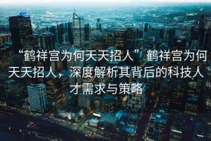 “鶴祥宮為何天天招人”鶴祥宮為何天天招人，深度解析其背后的科技人才需求與策略