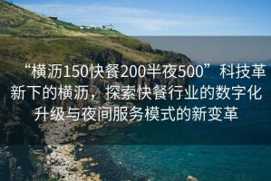 “橫瀝150快餐200半夜500”科技革新下的橫瀝，探索快餐行業(yè)的數(shù)字化升級與夜間服務(wù)模式的新變革