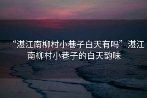 “湛江南柳村小巷子白天有嗎”湛江南柳村小巷子的白天韻味