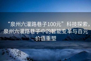 “泉州六灌路巷子100元”科技探索，泉州六灌路巷子中的智能變革與百元價值重塑