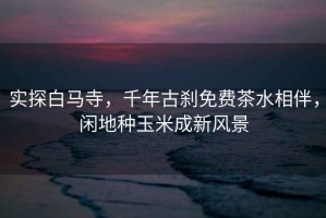 實(shí)探白馬寺，千年古剎免費(fèi)茶水相伴，閑地種玉米成新風(fēng)景