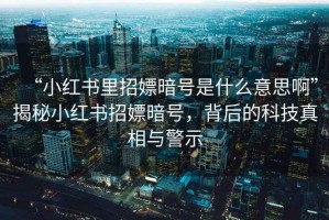 “小紅書里招嫖暗號是什么意思啊”揭秘小紅書招嫖暗號，背后的科技真相與警示