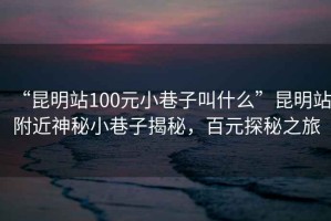 “昆明站100元小巷子叫什么”昆明站附近神秘小巷子揭秘，百元探秘之旅