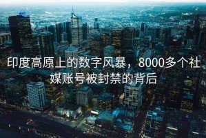 印度高原上的數(shù)字風暴，8000多個社媒賬號被封禁的背后