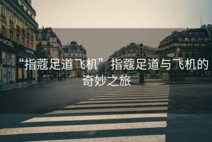 “指蔻足道飛機”指蔻足道與飛機的奇妙之旅