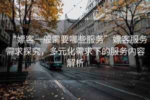 “嫖客一般需要哪些服務”嫖客服務需求探究，多元化需求下的服務內(nèi)容解析