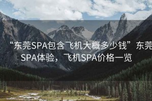 “東莞SPA包含飛機(jī)大概多少錢”東莞SPA體驗(yàn)，飛機(jī)SPA價(jià)格一覽
