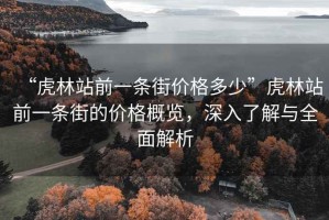 “虎林站前一條街價格多少”虎林站前一條街的價格概覽，深入了解與全面解析