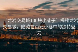 “龍巖交易城100塊小巷子”揭秘龍巖交易城，隱藏在百元小巷中的獨(dú)特魅力